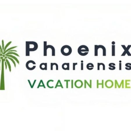 Phoenix Canariensis San Juan de la Rambla Buitenkant foto