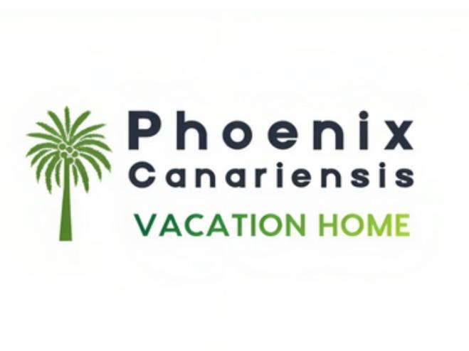 Phoenix Canariensis San Juan de la Rambla Buitenkant foto
