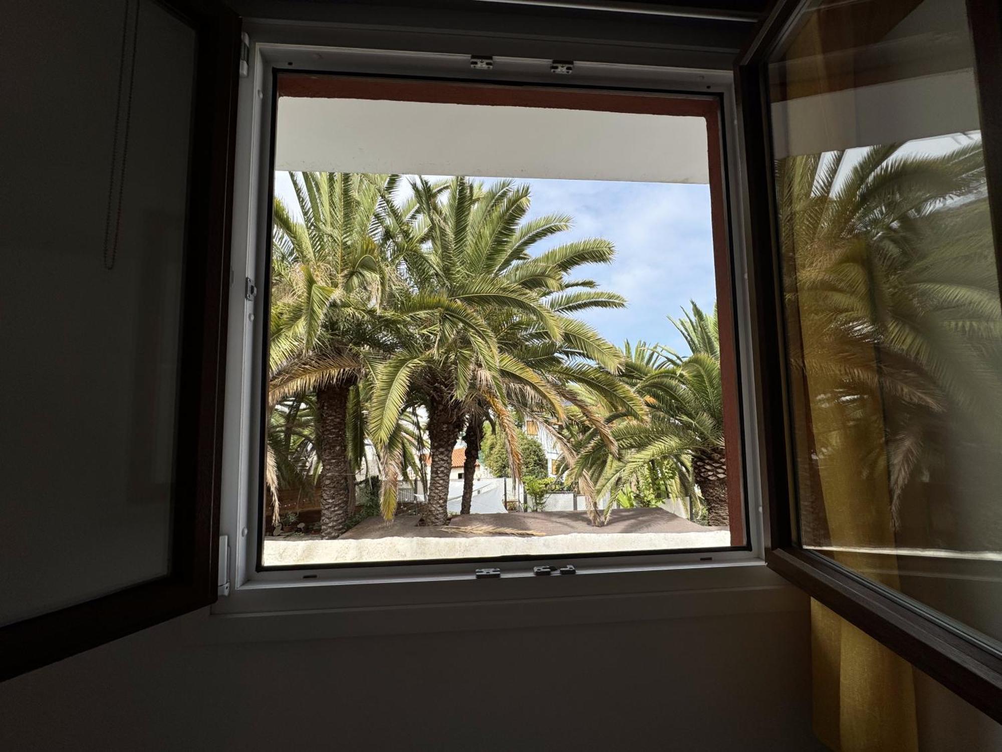 Phoenix Canariensis San Juan de la Rambla Buitenkant foto