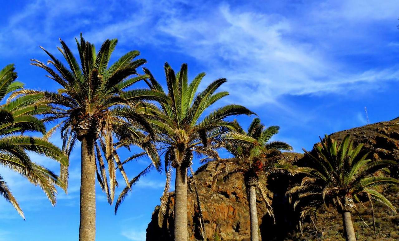 Phoenix Canariensis San Juan de la Rambla Buitenkant foto